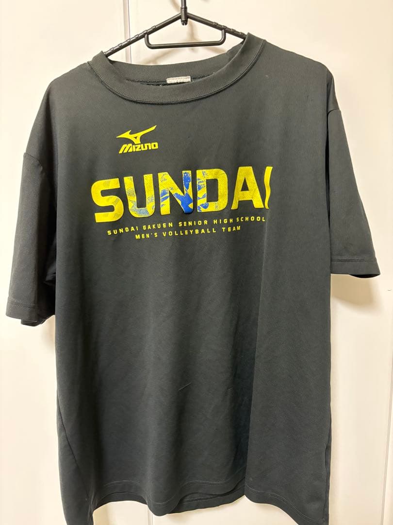 Mizuno 駿台高校 バレーボール tシャツ