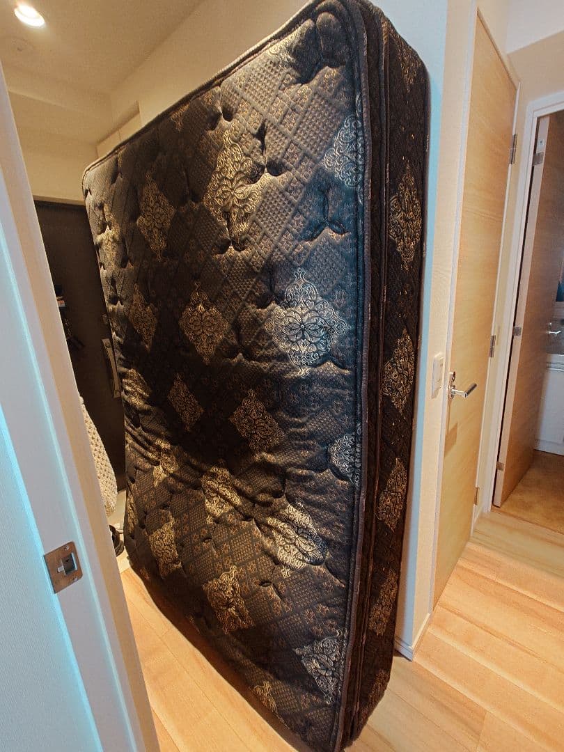 サータ トラディション ピローソフト1トップ（購入半年以内）ダブルサイズ