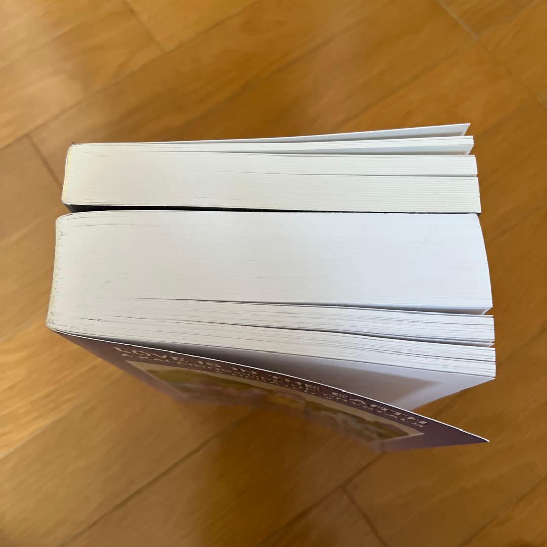 Love Is In The Earth メロディのクリスタル本二冊セット