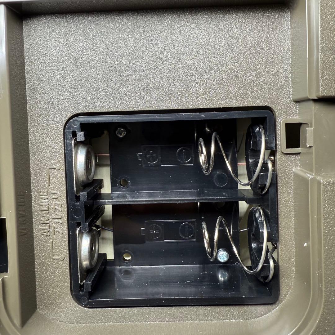 SEIKO 掛時計　電波からくり掛時計 RE579B