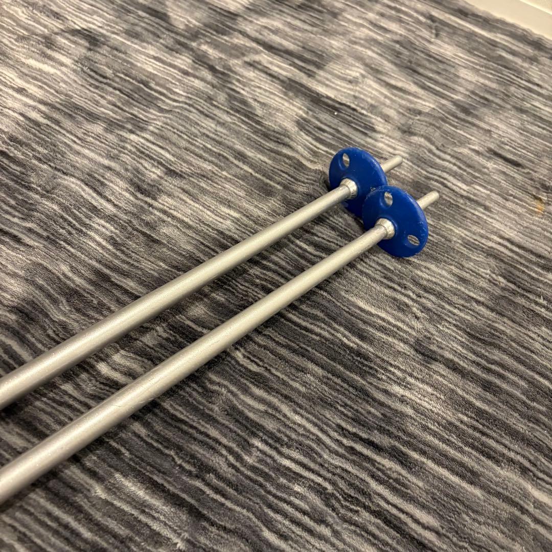 【未使用級極美品】SALOMON DEMO 10 P3V スキー板 170cm