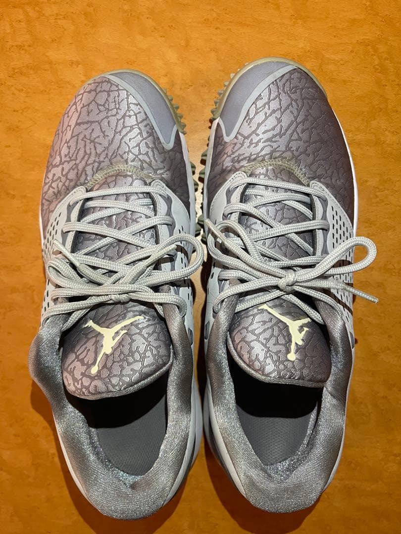 NIKE JORDAN TRAINER ゴルフシューズ グレー