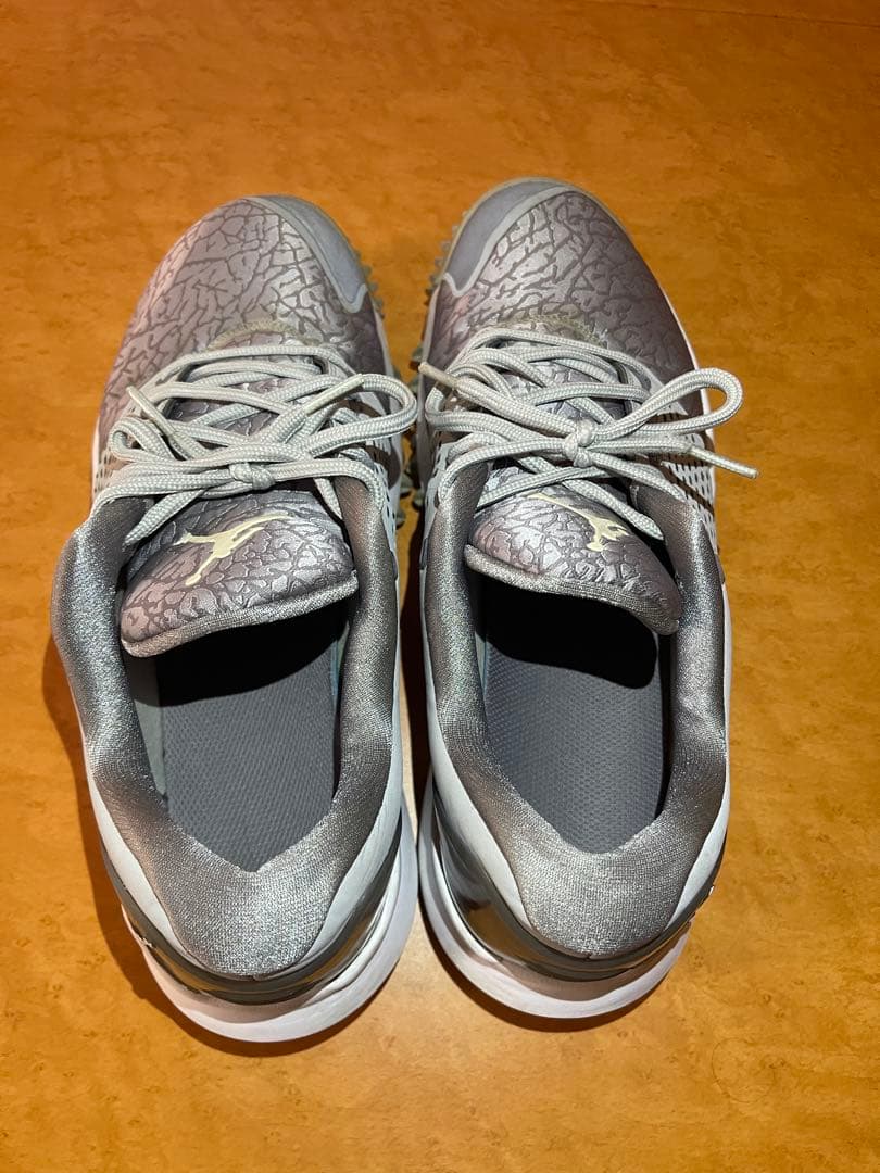 NIKE JORDAN TRAINER ゴルフシューズ グレー