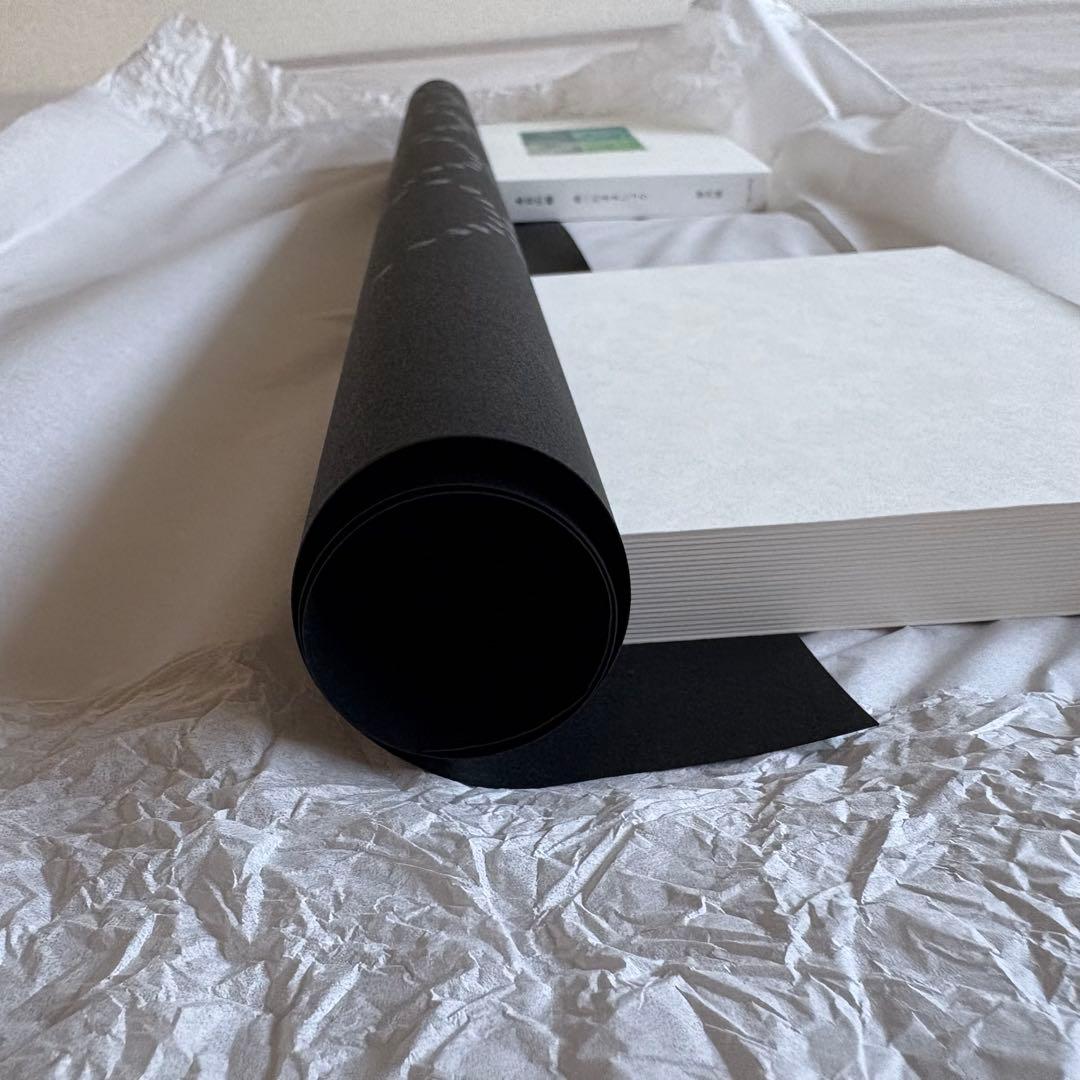 ミナペルホネンエラヴァ elävä ポスター タンバリン