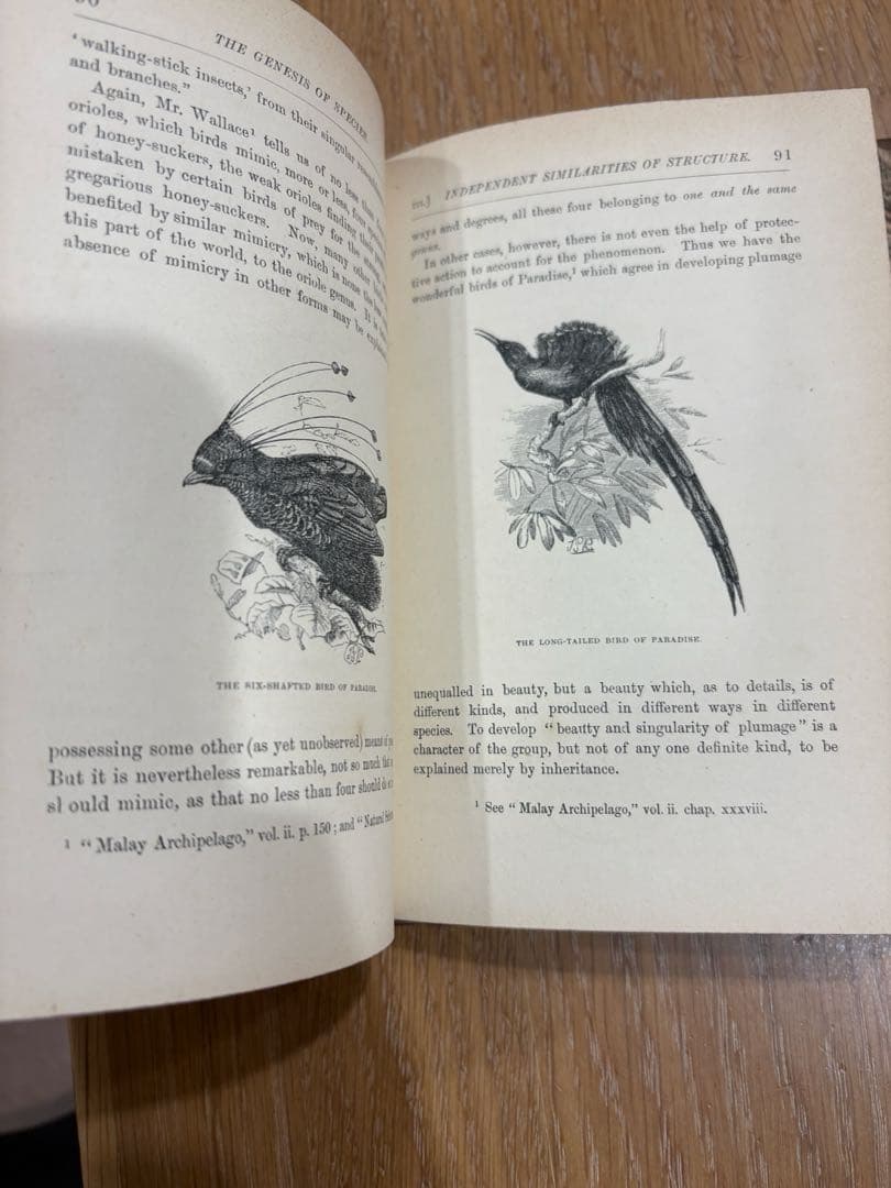 洋書 THE GENESIS OF SPECIES MIVART 1871