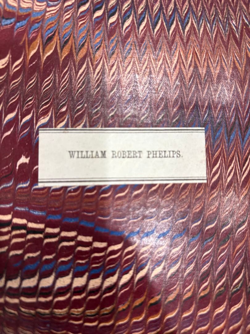 洋書 THE GENESIS OF SPECIES MIVART 1871