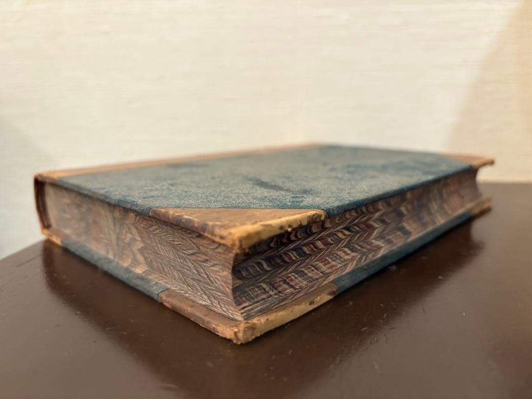 洋書 THE GENESIS OF SPECIES MIVART 1871