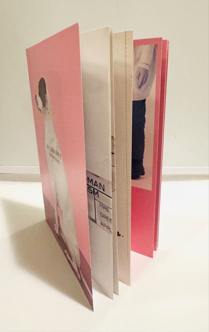 Mrs.GREENAPPLE ロマンチシズム　初回　トール盤　アートブック付き