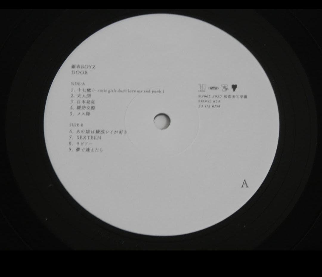 銀杏BOYZ DOOR アナログ レコード 帯付き 2枚組 美品 LP