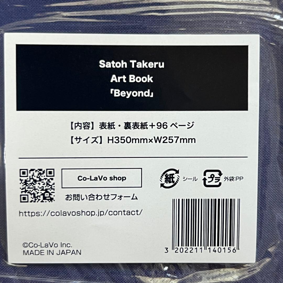 【完売品】佐藤健　写真集 アートブック「Beyond」グラスハート メガジャケ付