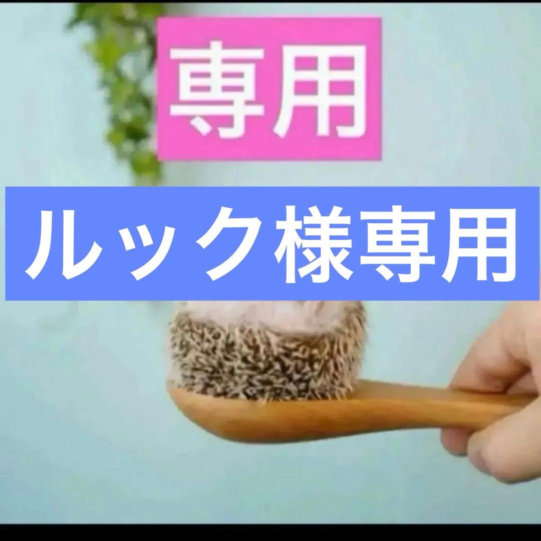 2点、オムパルファン、オムインテンス