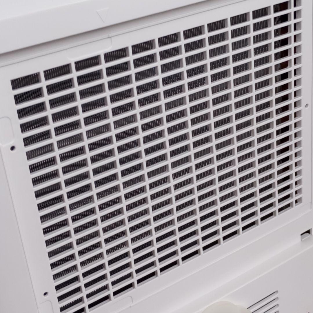 cinnamon（プロフ要読 ）