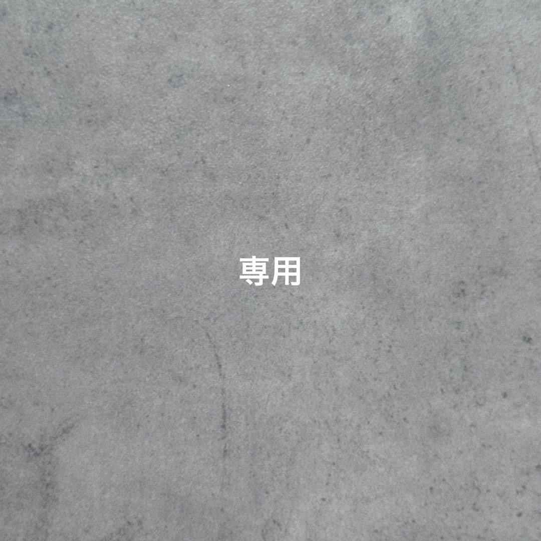 専用 装飾品セット