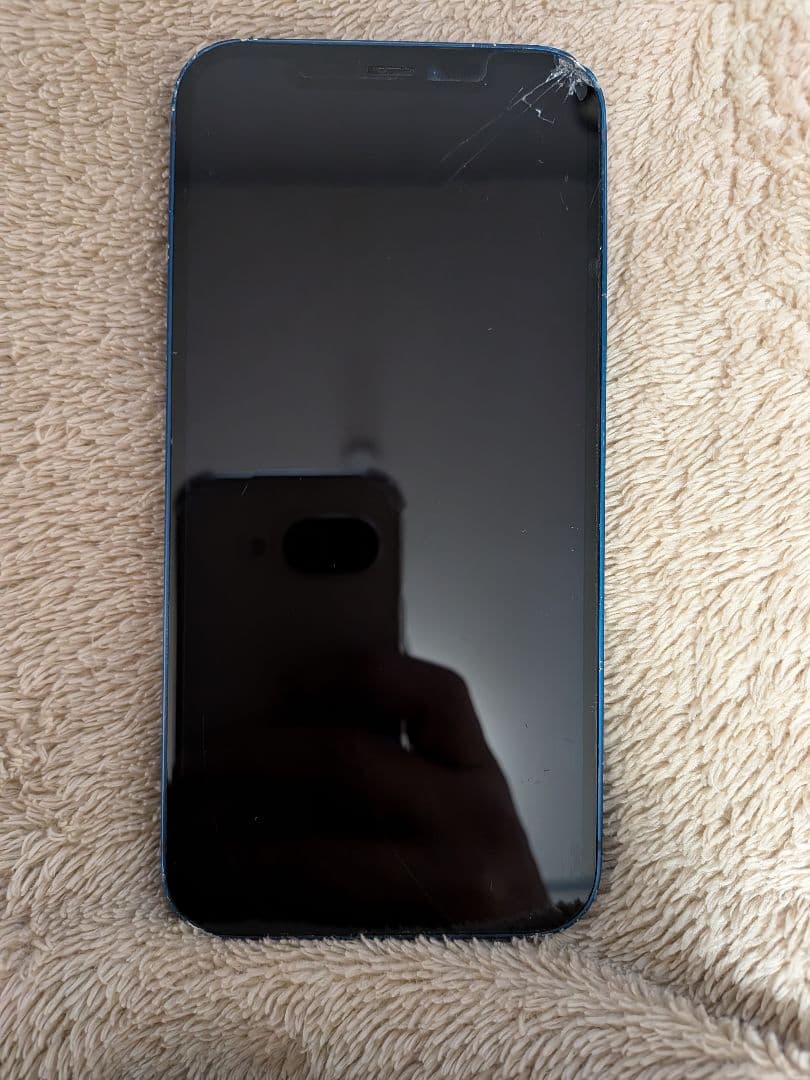 Apple iPhone 12 64GB 青