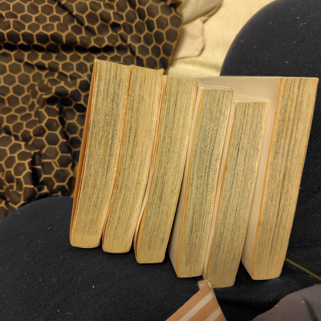 キャンディキャンディー 文庫版 全巻セット