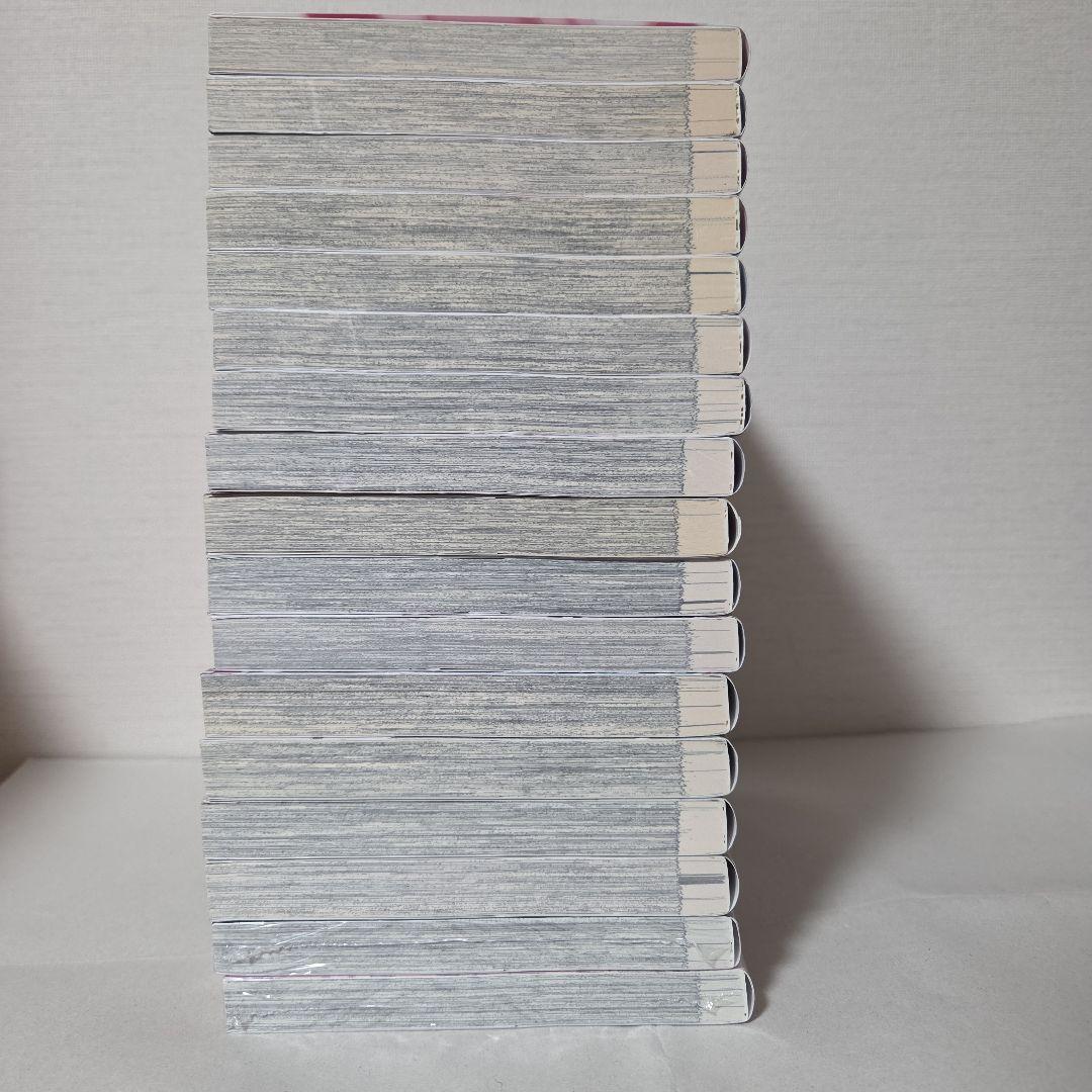 業務用餅『追放されたチート付与魔術師はセカンドライフを謳歌する』1-17巻セット