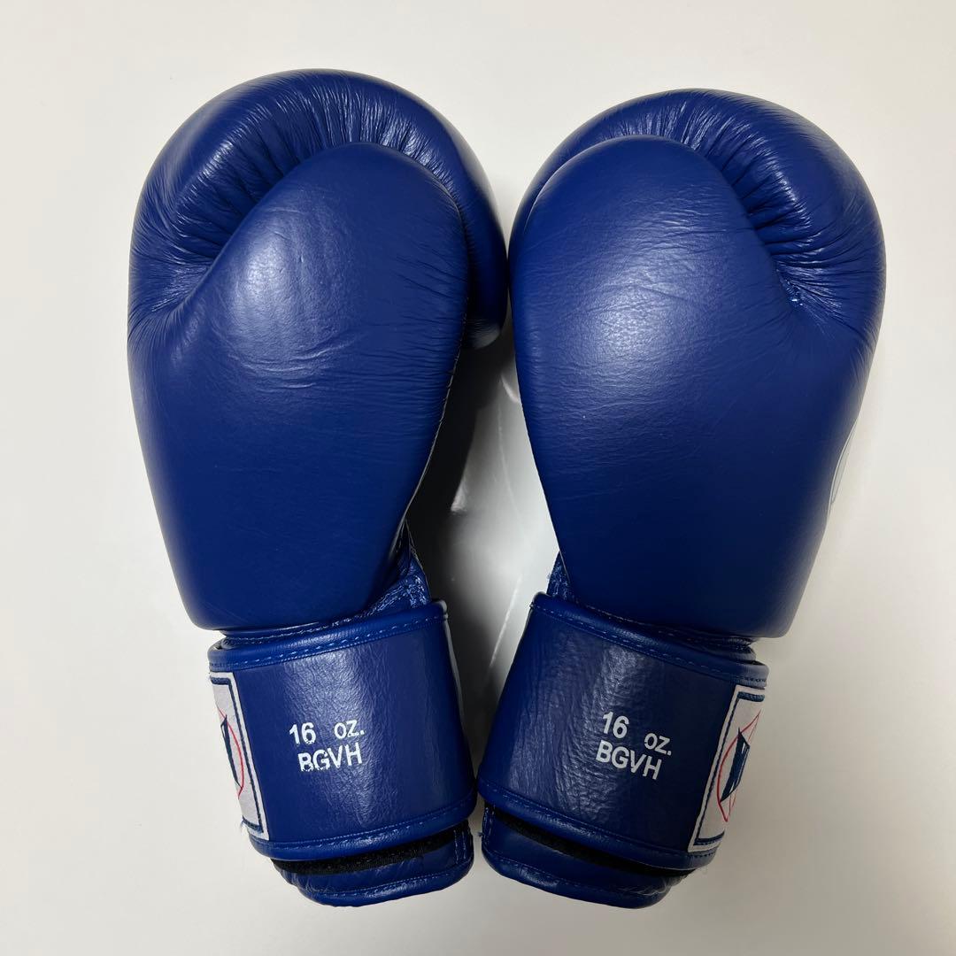 WINDY ボクシンググローブ 16 oz BGVH