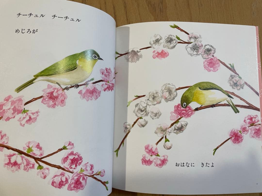 こどものとも　平野恵理子さん　はるをみつけたよ他　四季の本他５冊 おまけ２冊