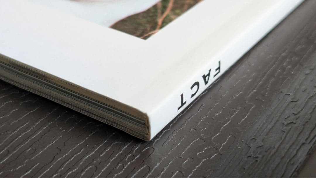 MUSICA(ムジカ) 2022年5月号　藤井風