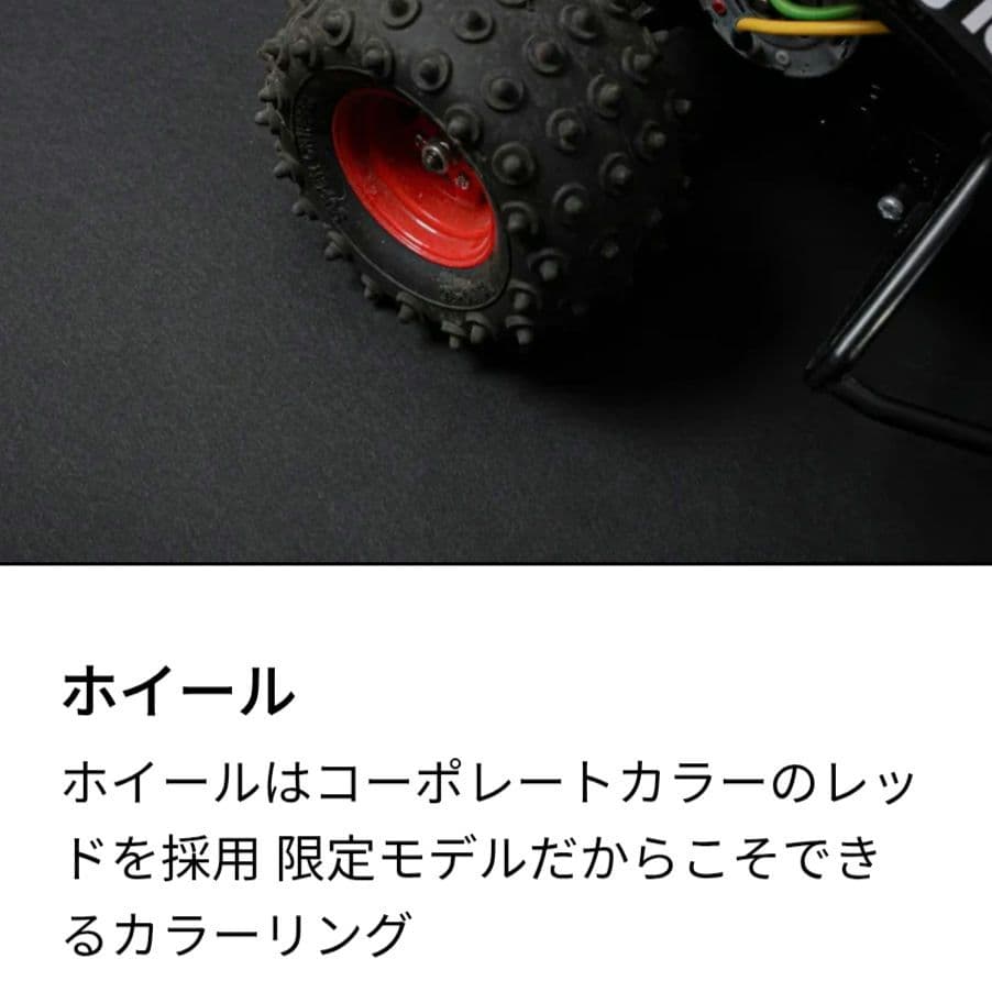 新品未開封 TAMIYA×NANGA 1/10 XBレーシングバギー ホーネット