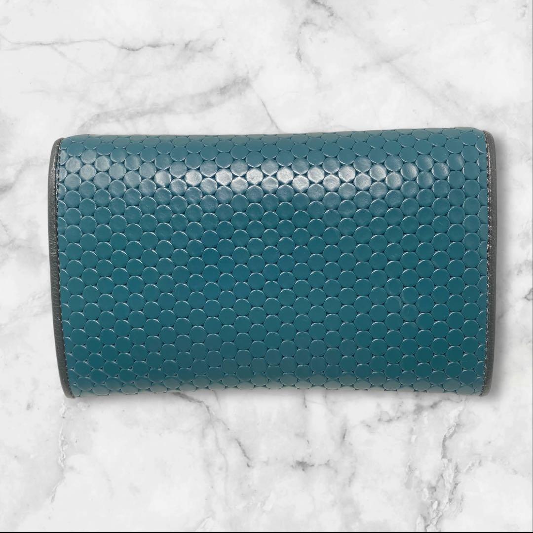 未使用 HIROKO HAYASHI マルチ財布 カルディナーレ エルフォ 財布