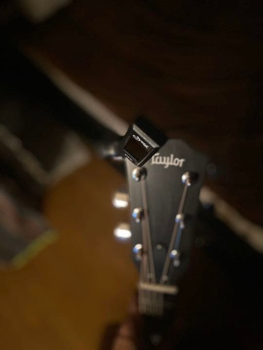 テイラー　エレアコ　114