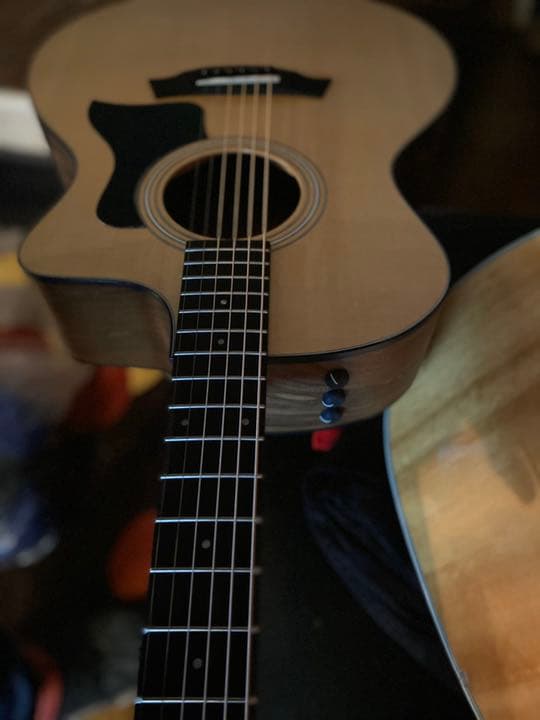 テイラー　エレアコ　114