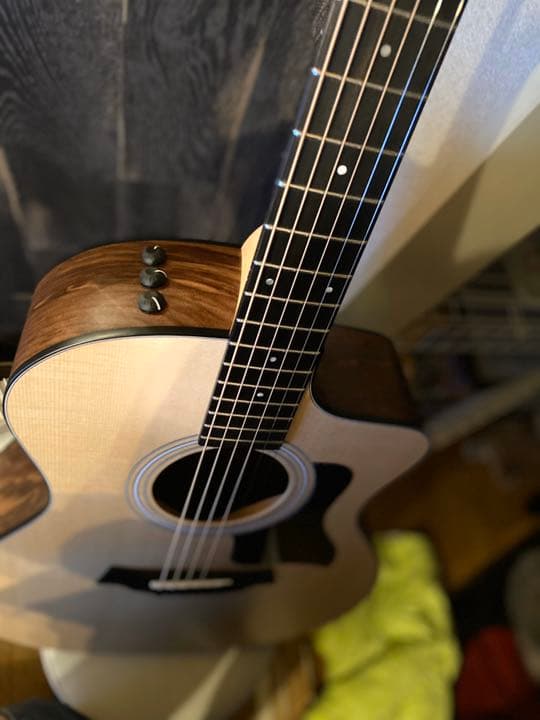 テイラー　エレアコ　114