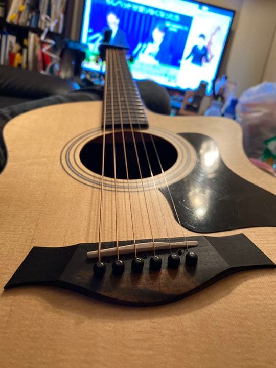 テイラー　エレアコ　114