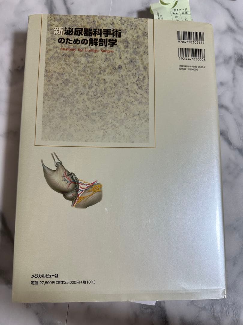 新泌尿器科手術のための解剖学