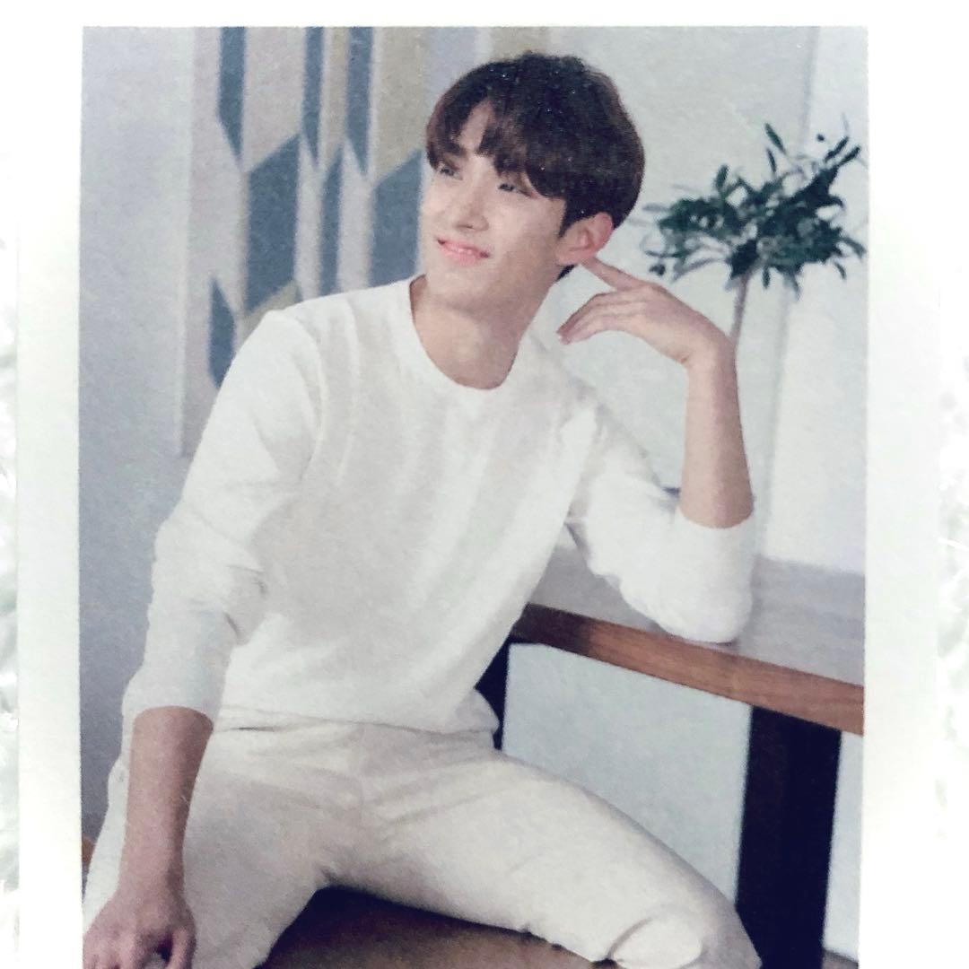 SEVENTEEN the saem 50枚限定 チェキ トレカ ドギョム 八尾