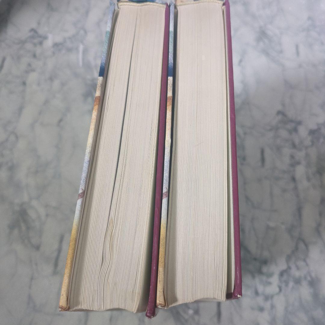 スモールアニマル・インターナルメディスン　上下　計２冊セット