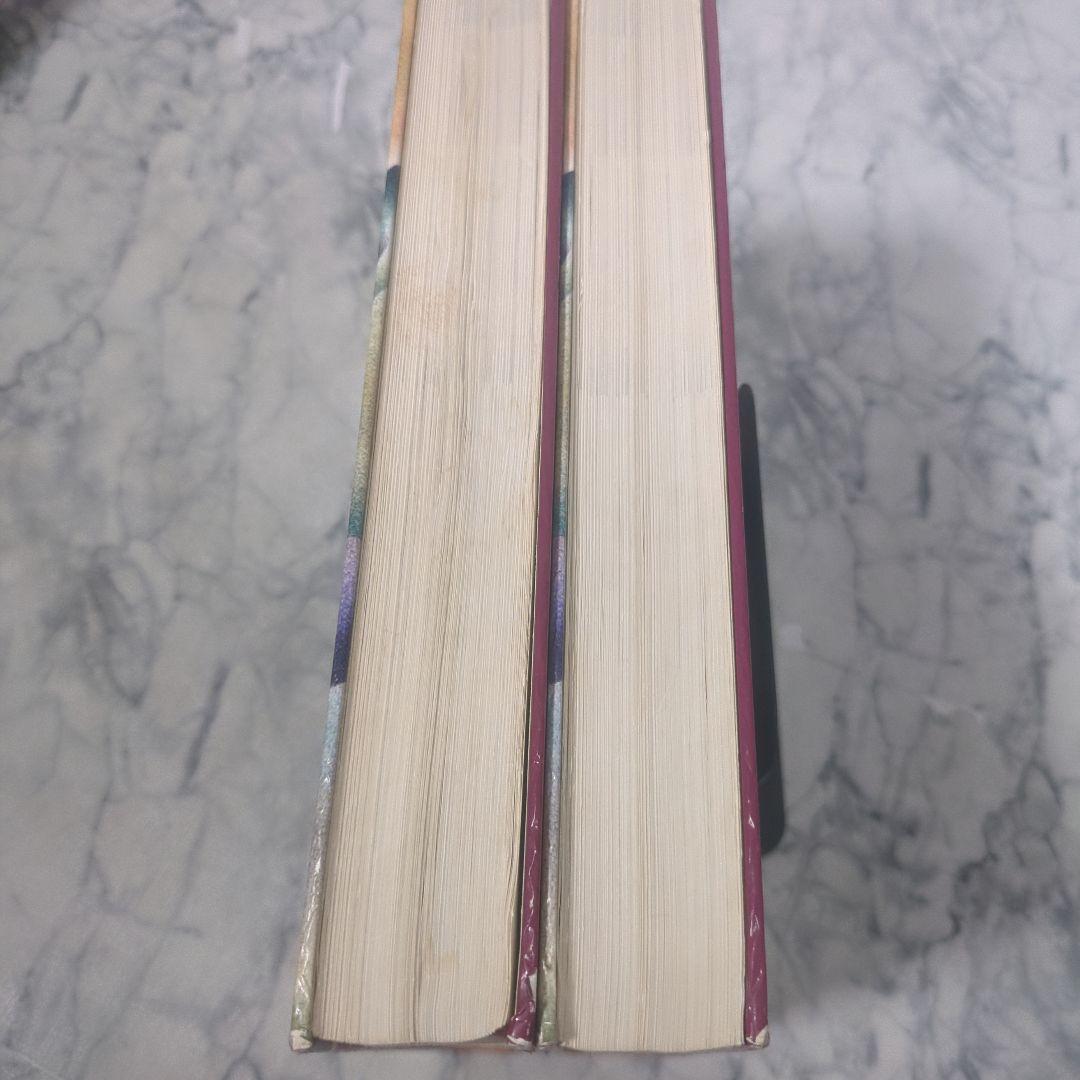 スモールアニマル・インターナルメディスン　上下　計２冊セット