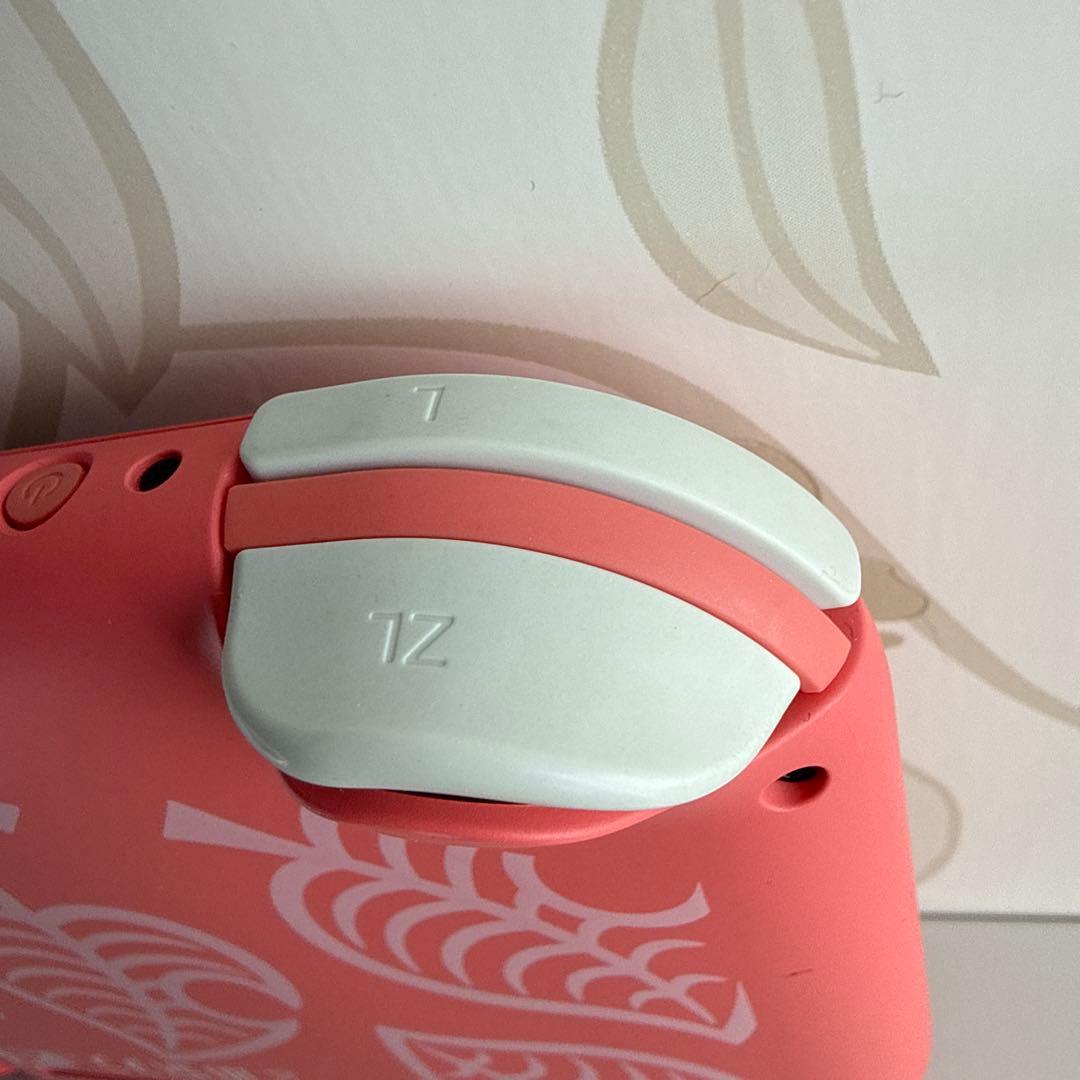 Nintendo任天堂Switchスイッチライト