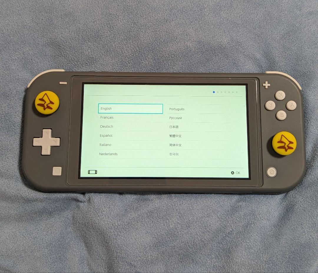 【美品】Nintendo Switch Lite グレー 専用ケース付き