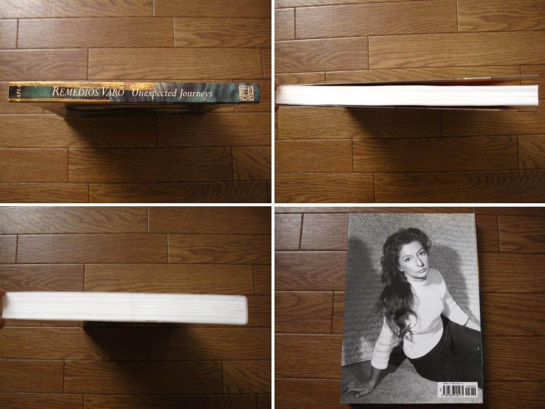 アート・デザイン・音楽 Remedios Varo: Unexpected Journey