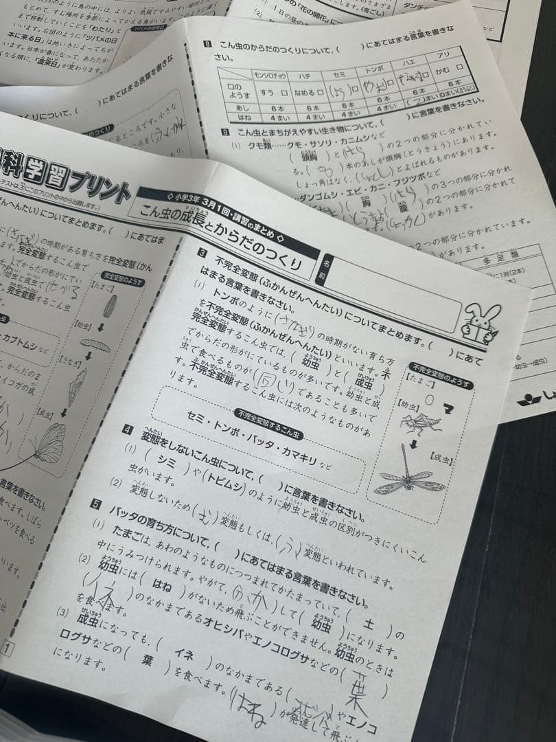 奨学社　小3 理科　1年分　しょうがく社　リビューテスト　実力テスト
