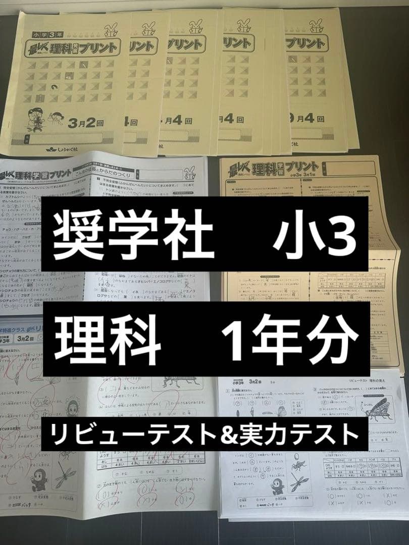 奨学社　小3 理科　1年分　しょうがく社　リビューテスト　実力テスト