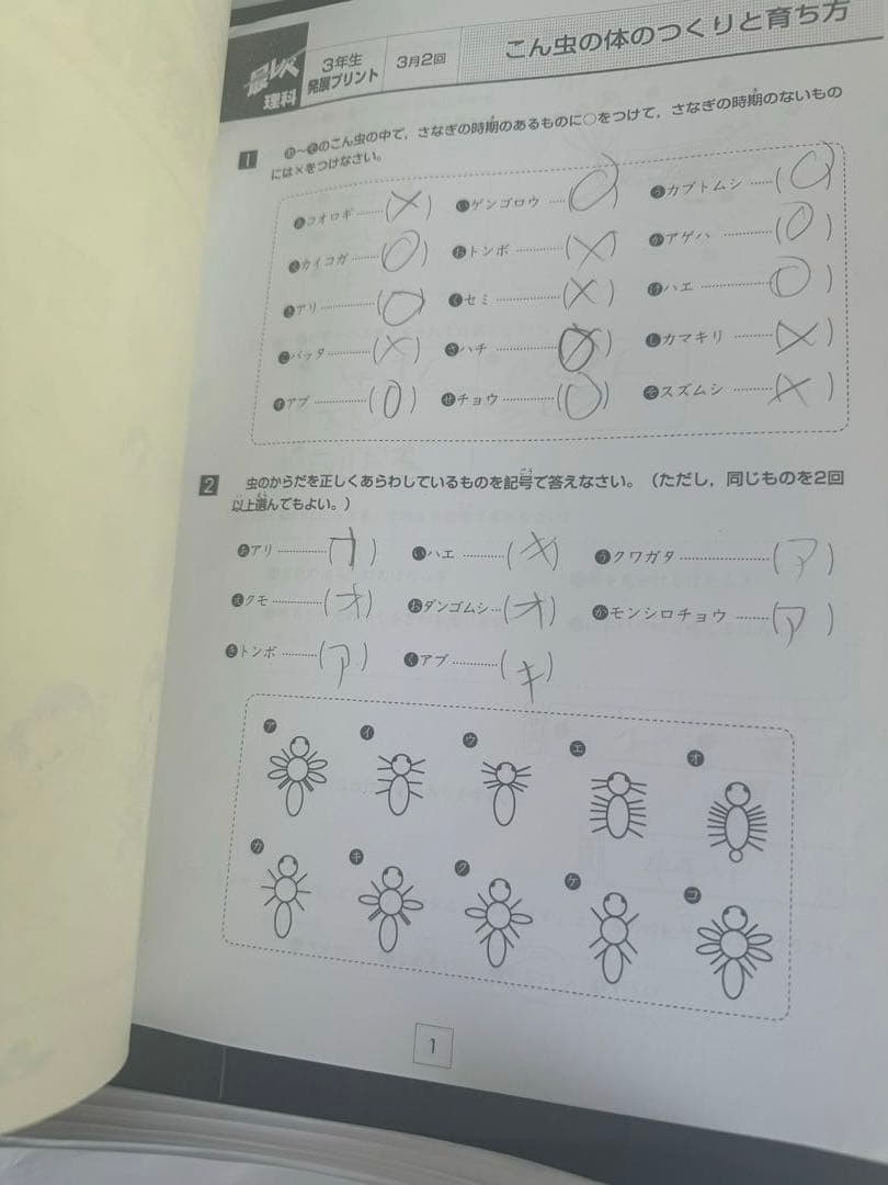 奨学社　小3 理科　1年分　しょうがく社　リビューテスト　実力テスト