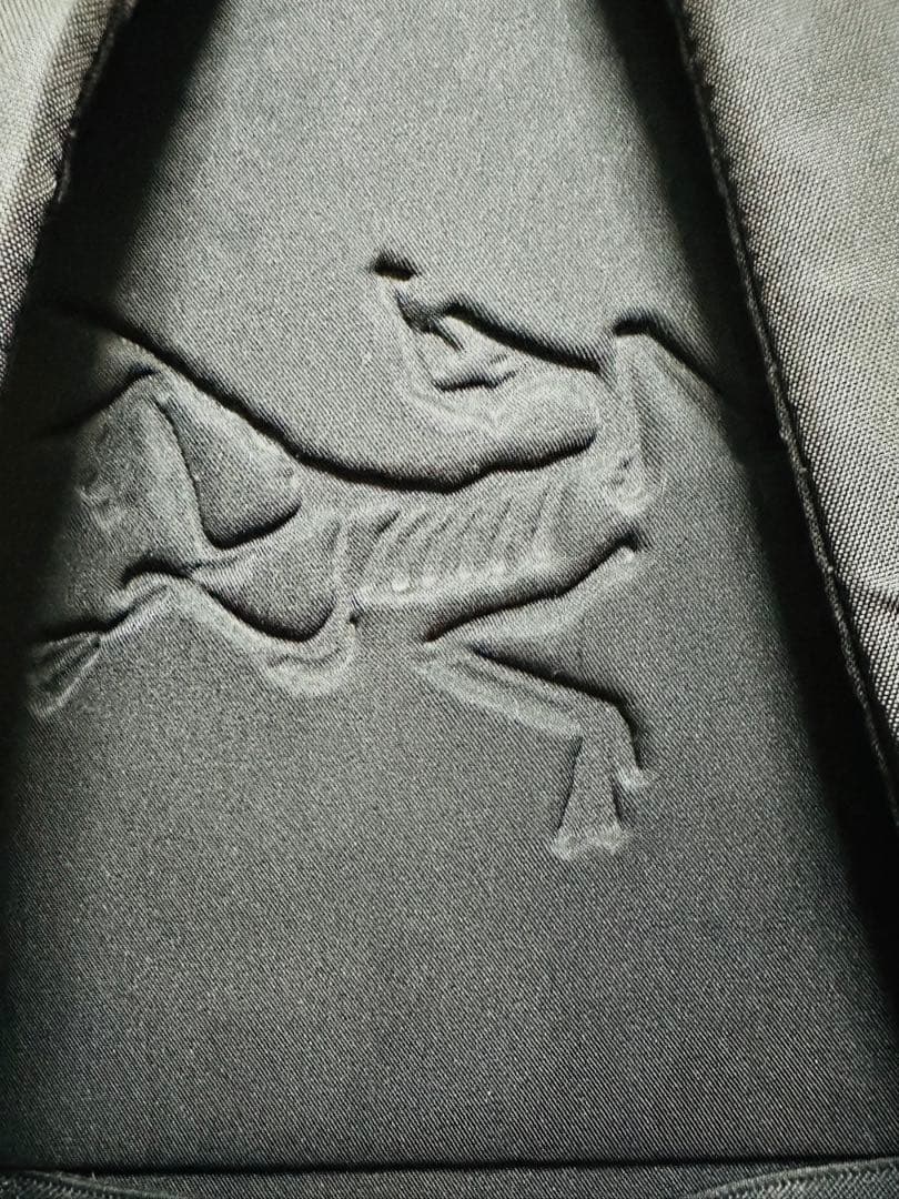 ARC'TERYX Blade 28バックパック（ブラック）