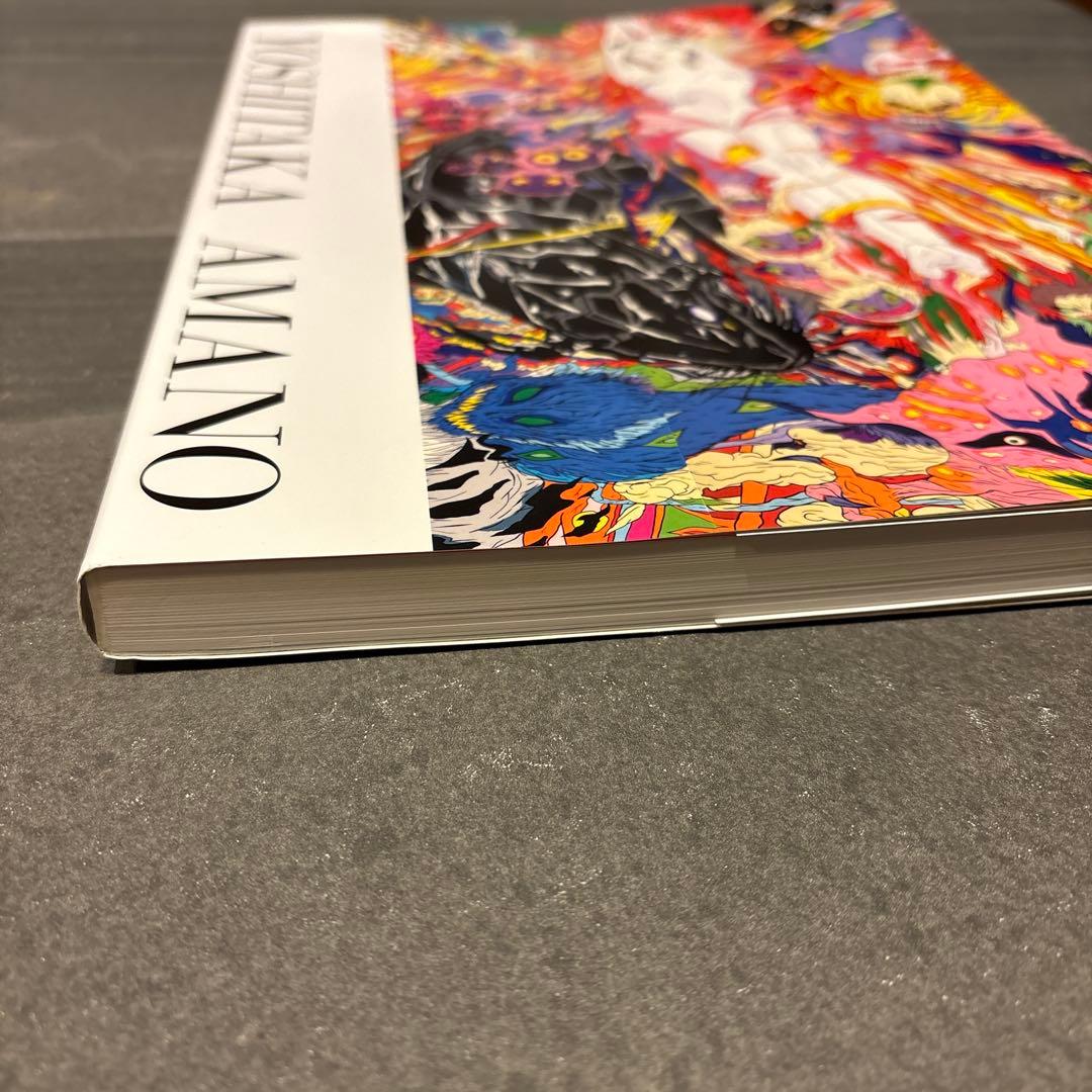 Yoshitaka Amano アートブック 天野喜孝展