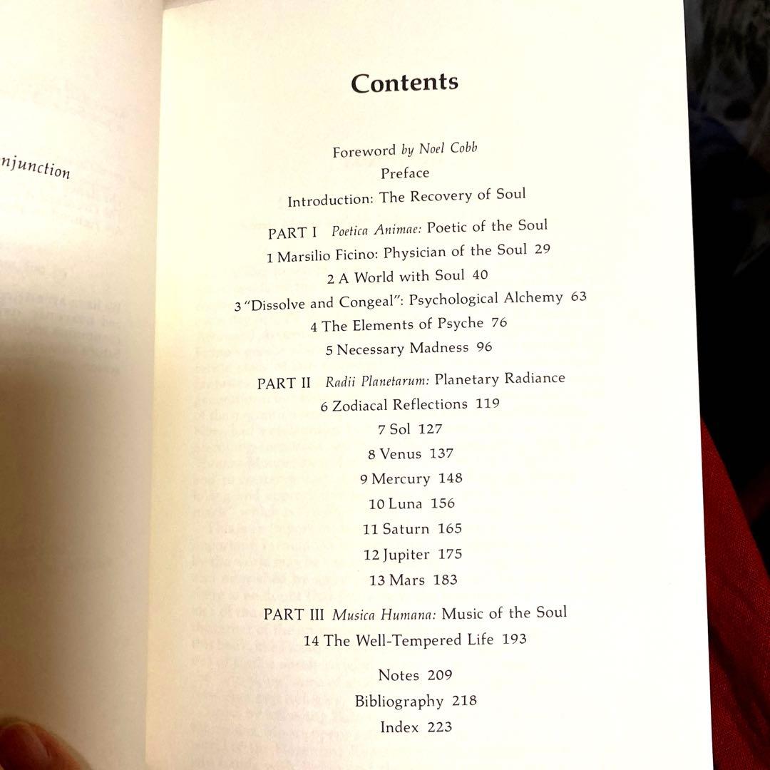 洋書 THE PLANETS WITHIN