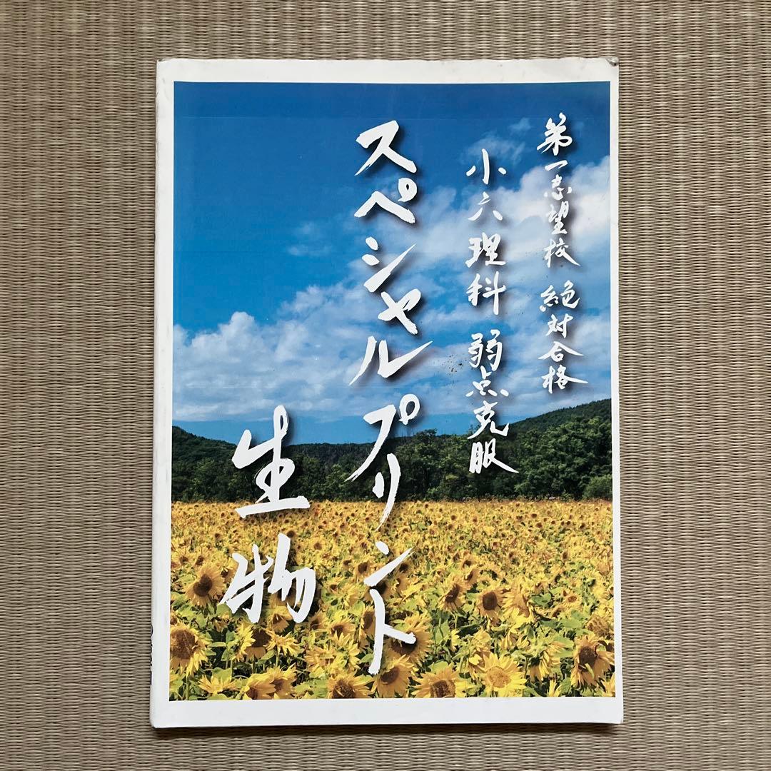 希学園 小6 理科スペシャルプリント