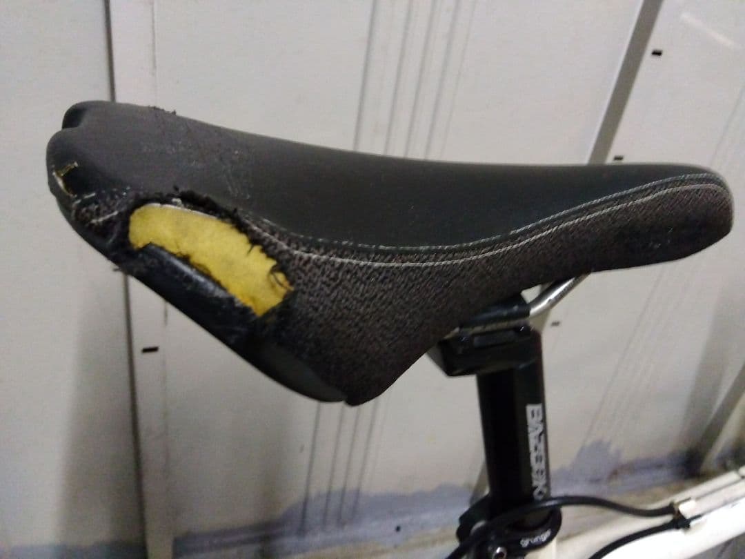 Alpinestars cro-mega LX マウンテン　2月大阪市配達可