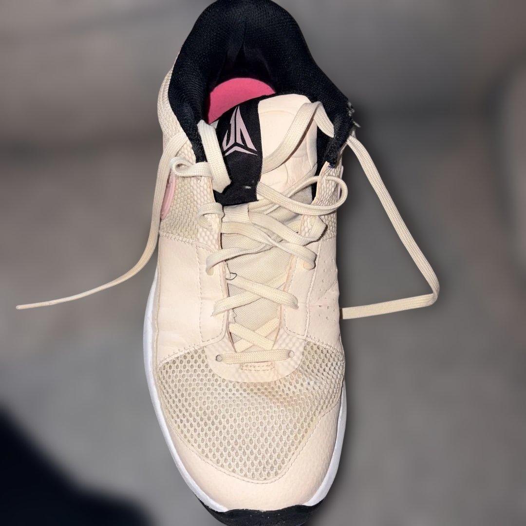 Nike バスケットボールシューズ ベージュ/ピンク