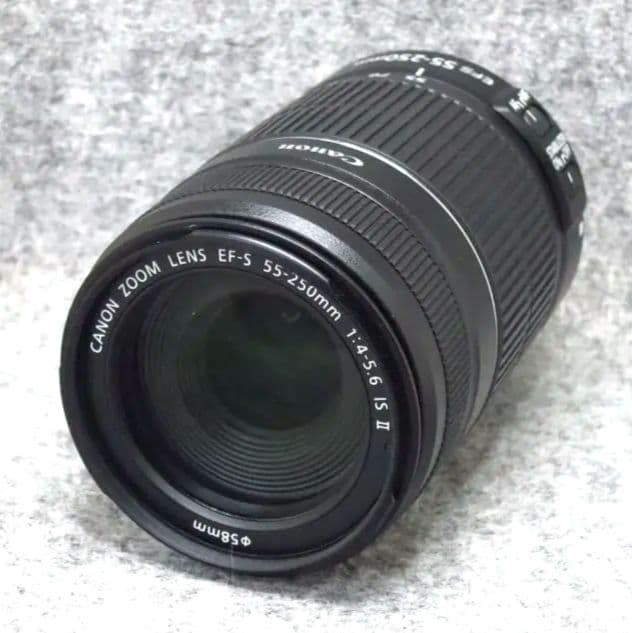 Canon EF-S55-250mm F4-5.6 IS II　フード付き