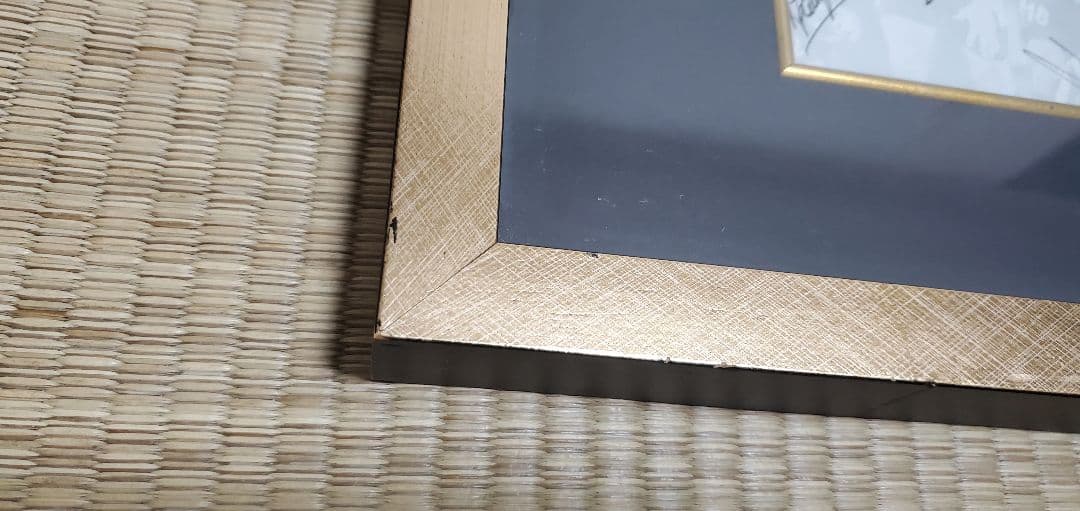 d*7様 500個限定 ユベントス 22名　サインユニホーム ジダン デルピエロ