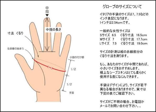 注！★Arisaさま専用★ LOEWE ロエベ 手袋 【正規品　新品＆未使用】