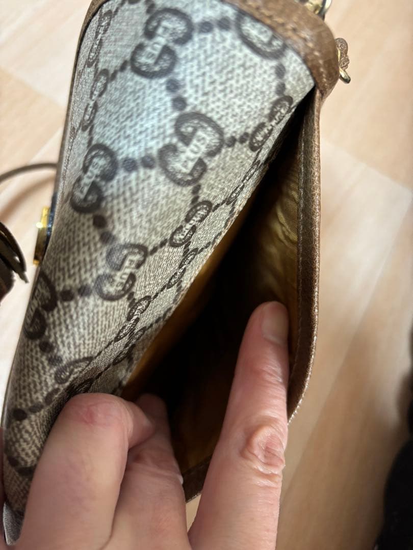 GUCCI PLUSグッチ プラス ショルダーバッグ ポシェット　希少