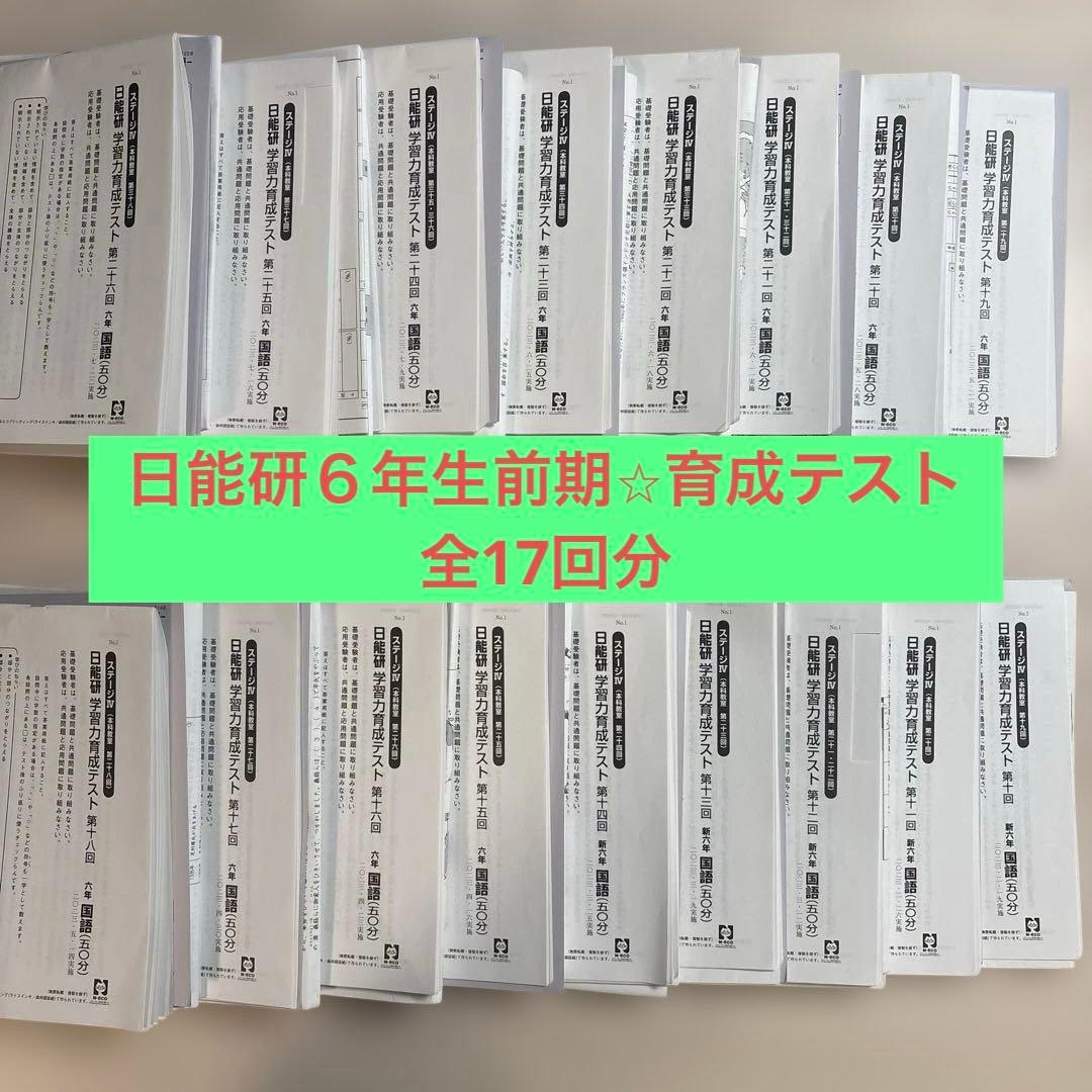 日能研 6年生前期 育成テスト 全17回分